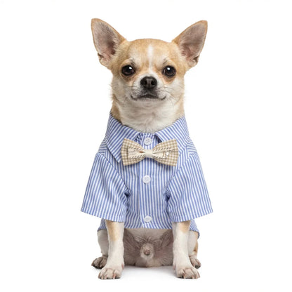 Pet Dog Clothes Bowknot Striped Shirts Thin Summer Blue Fashion Chihuahua Stripe Shirt for Small Dogs Clothing Wholesale