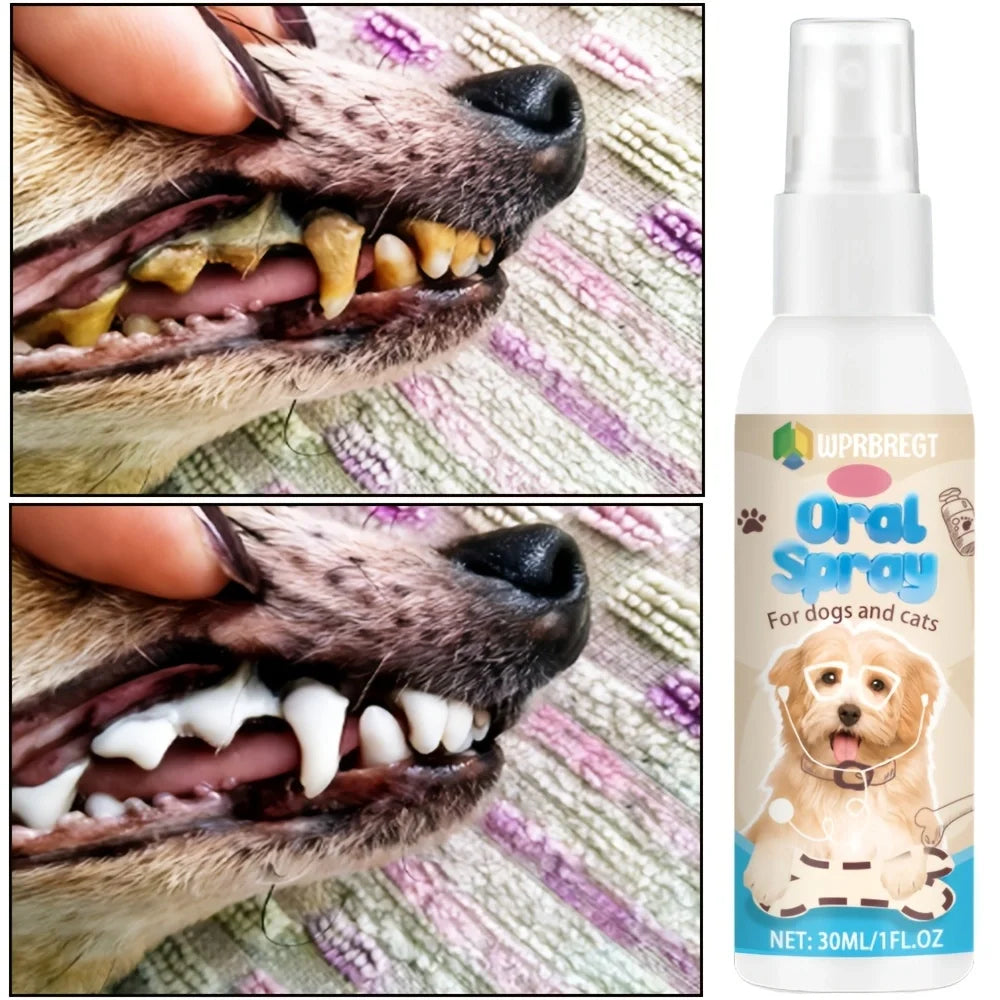 Pet Oral Cleanse Spray Dogs Cats Teeth Clean Deodorant Prevent Calculus Remove Kitten Bad Breath Pet Supplies Freshen Breath