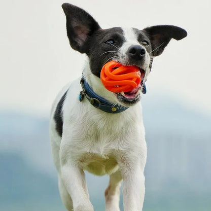 Pet Toys - Bite-resistant Chewing Balls - Hollow Elastic Balls - Training Balls -Entertainment and Relaxation Toys -Pet Supplies
