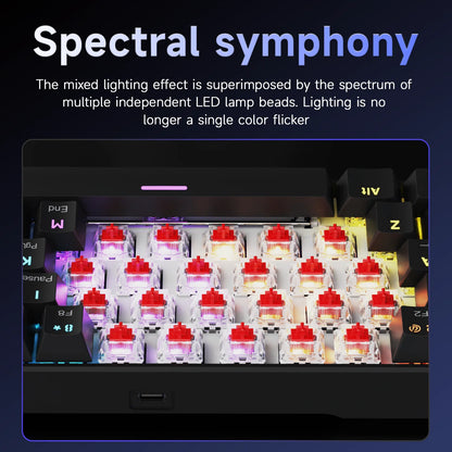 Ajazz NK61 Mechanical Wired Gaming Keyboard RGB Lighting Effects Supports Hot-Swappable 61 Keys Mechanical Gaming Keyboard