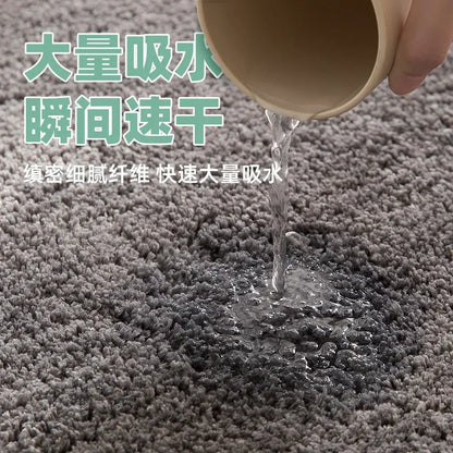 Absorbent Non - slip Floor Mats, Door Mats for Bathroom, Hall, Living Room, Home Decoration Carpets