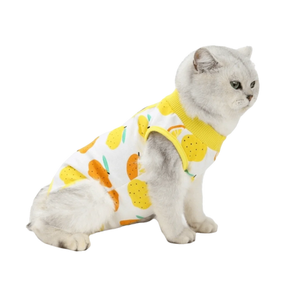 Fruit Printed Cat Recovery Clothing High Elasticity Comfortable Pet Anti-Licking Vest Soft Breathable Cat Jumpsuit Pet Care