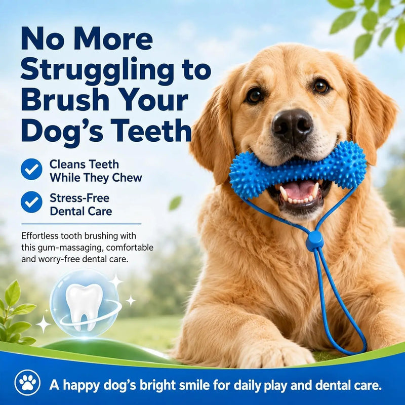 1/2PCS Pets Dog Chew Toys with Rope – Teeth Cleaning & Gum Massage, Durable TPR Dental Stick for Training & Play Pet Dental Care