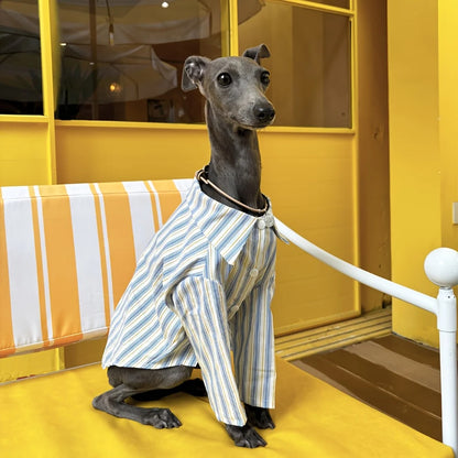 Pet Dog Clothes Striped Shirts for Greyhound Dogs Clothing Small Thin Summer Blue Fashion Boy Girl Large Dog Pet Products