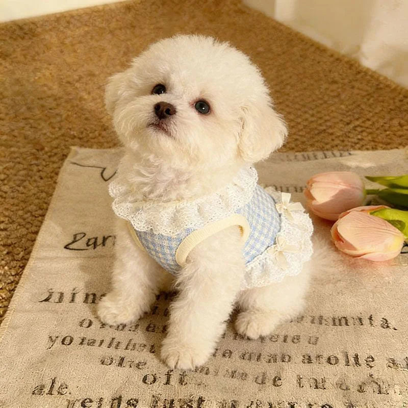 Pet Spring/summer New Cat And Dog Clothes Breathable Comfortable Cute Princess Style Bow Lace Skirt For Small Dogs Teddy Bears