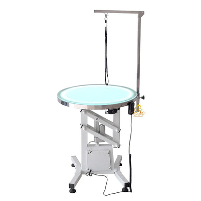 Pet Electric Lift Grooming Table With Led Light Professional Grooming  Care Multifunctional Pet Grooming Table