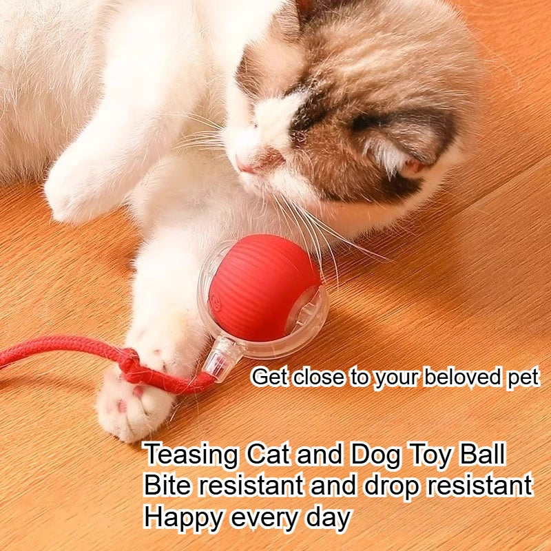 Durable Pet Toys for Dogs And Cats - Teaser Ball with Rope Jumping Ball Thud Toy for Self-Entertainment Pet Supplies