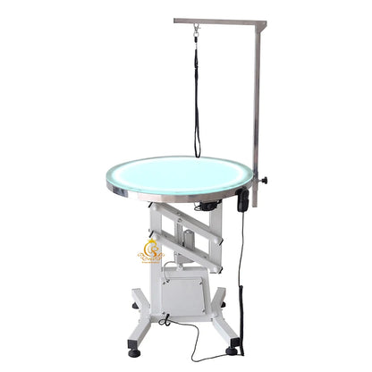 Pet Electric Lift Grooming Table With Led Light Professional Grooming  Care Multifunctional Pet Grooming Table
