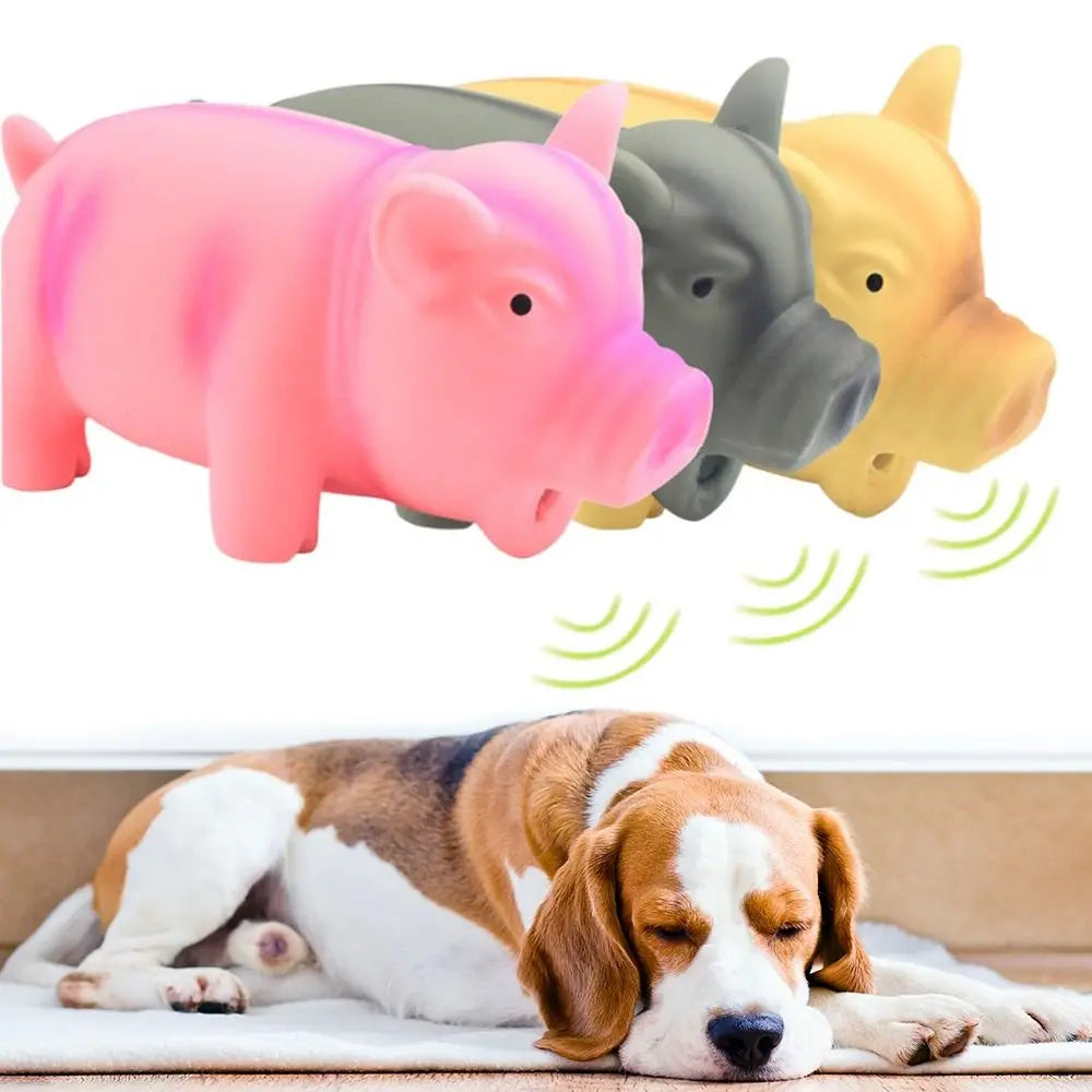1PC Rubber Sound Pig Grunting Squeak Latex Pet Chew Toys for Dog Squeaker Chew Training Puppy Supplies Pet Products