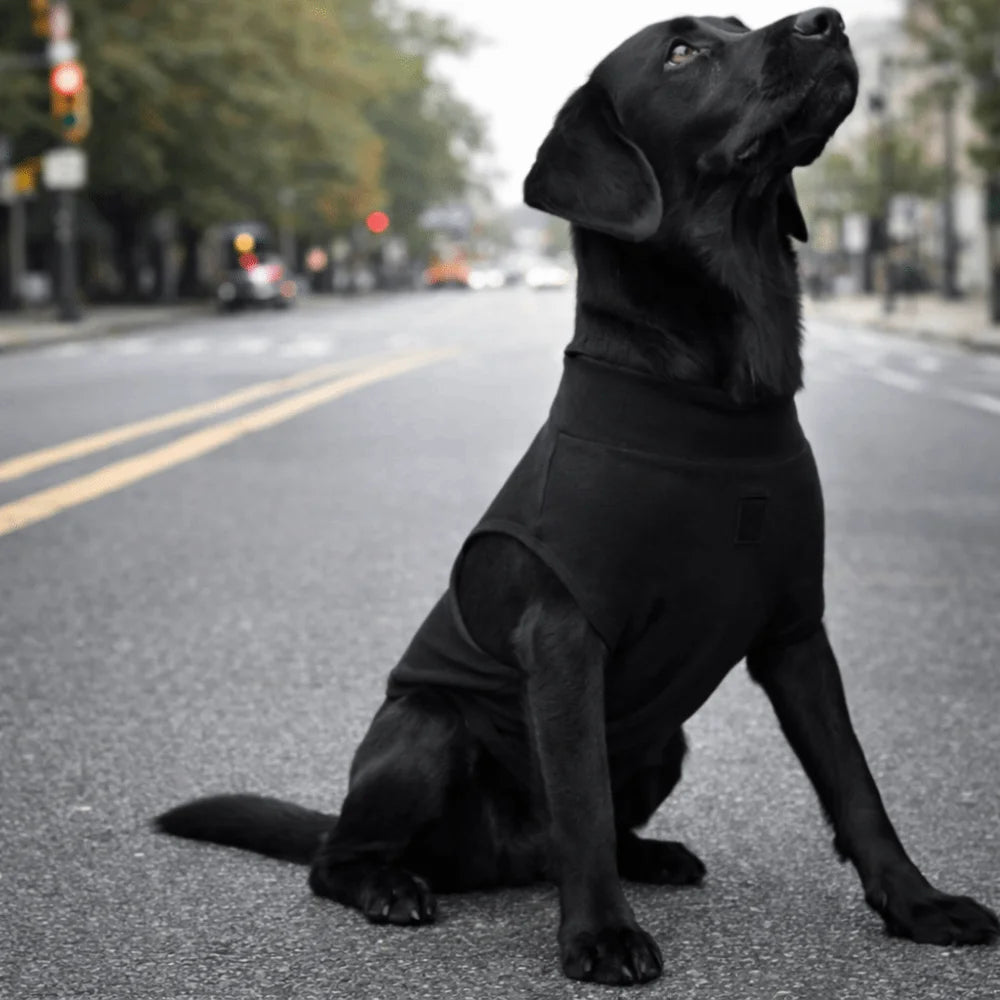 Adjustable Pet Physiological Clothing Stretchy Soft Dog Sanitary Jumpsuits Reusable Sweat Absorption Dog Recovery Suit