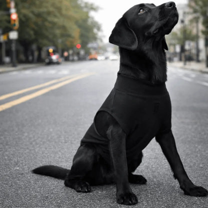 Adjustable Pet Physiological Clothing Stretchy Soft Dog Sanitary Jumpsuits Reusable Sweat Absorption Dog Recovery Suit