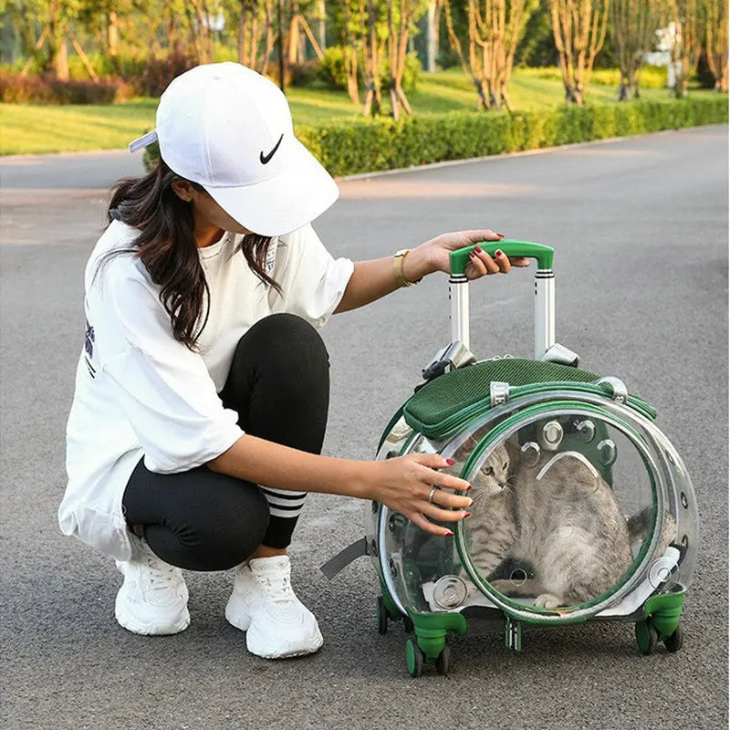 Small Pet Trolley Clear Shoulder Cat Bag Pack Breathable Crate for Journey Outside Portable Pet Products Supplies Carriers