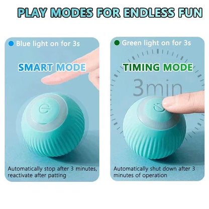 Pet Cat Toys Intelligent Rolling Ball Soothing Ball Artifact Teasing Cat Toys Dust Free Pet Supplies