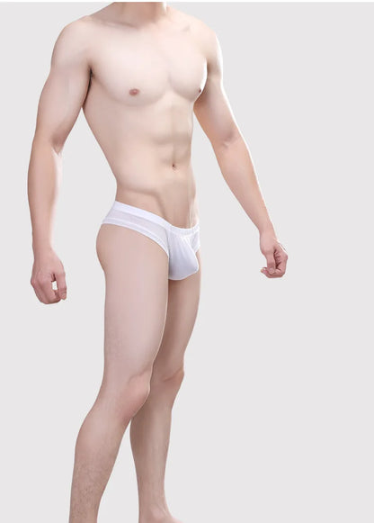 Sissy panties Thong Men G-Strings Gay Underpants Sexy Underwear Lingerie Briefs Men's Panties Fast Drying Bikini Tanga Exotic