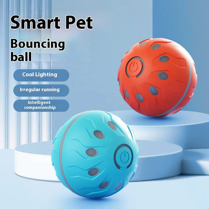Pet Play Toy Ball, Electric Dog Ball, USB Rechargeable Dog Interactive Toy, Good Companion for Dogs