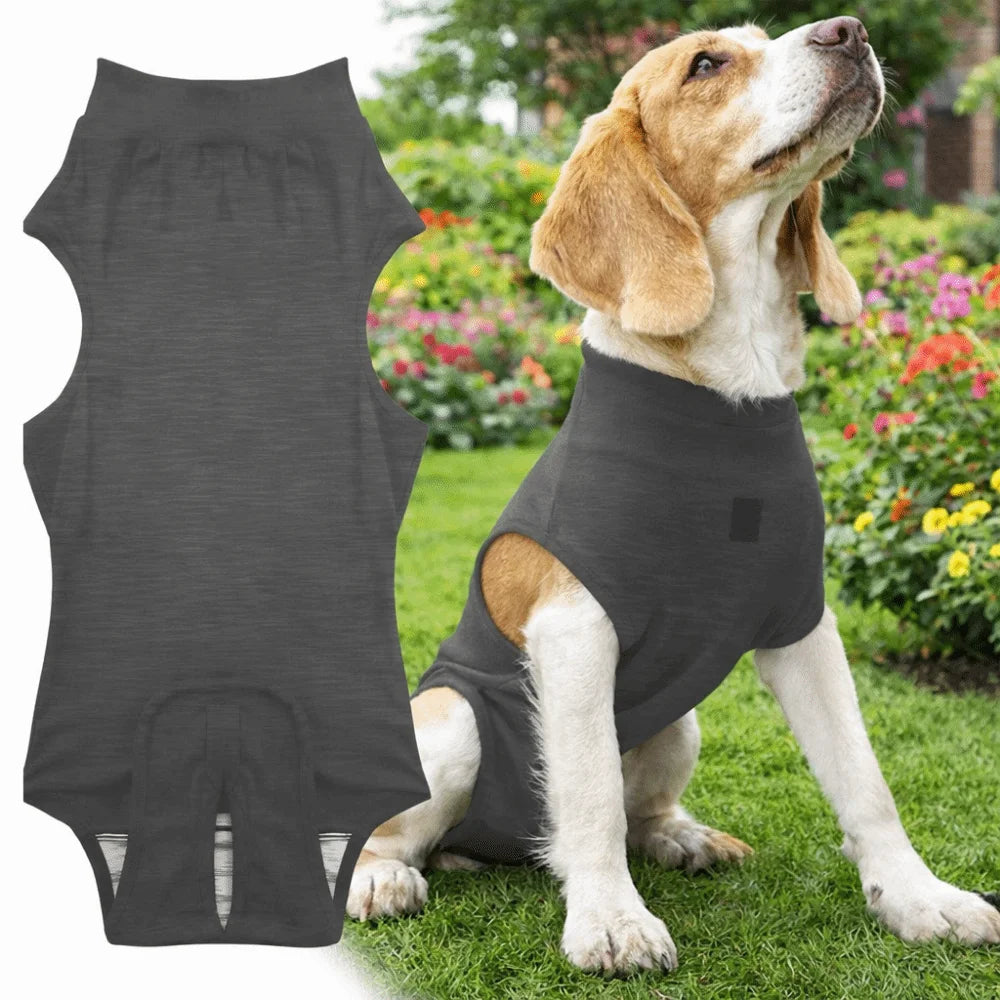 Adjustable Pet Physiological Clothing Stretchy Soft Dog Sanitary Jumpsuits Reusable Sweat Absorption Pet Physiological Pants
