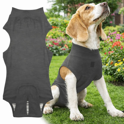 Adjustable Pet Physiological Clothing Stretchy Soft Dog Sanitary Jumpsuits Reusable Sweat Absorption Pet Physiological Pants