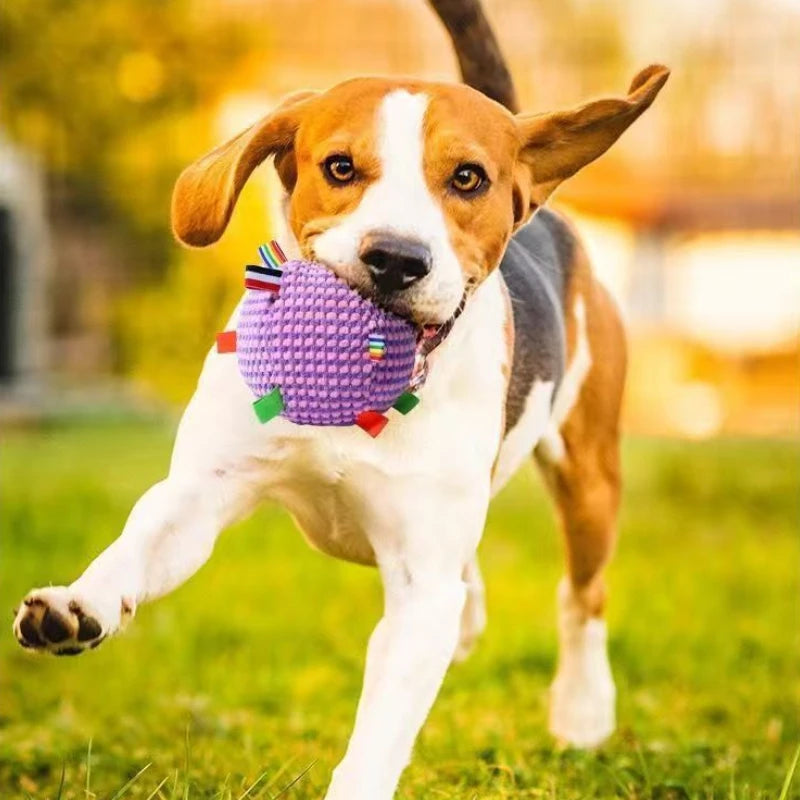 Pet Toy Ball Dog Chew Toy Interactive Tough Durable Colorful Ribbon Pet Playing Toy for Small Medium Large Dogs Stress Relief