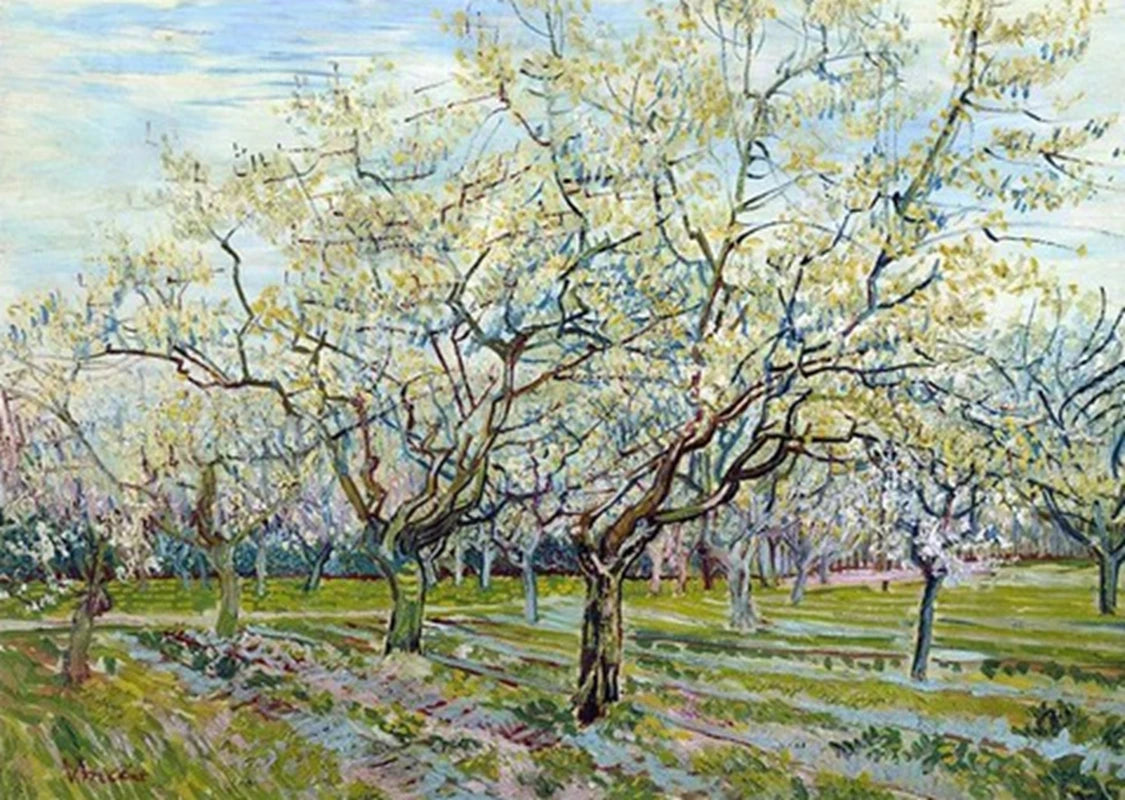 DIY Van Gogh Diamond Painting 5D Full Mosaic Abstract Garden Almond Blossoms Starry Night Rhinestone Decor Home