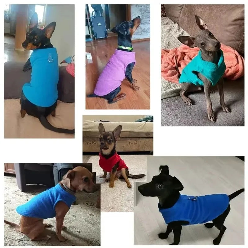 Winter Warm Fleece Dog Clothes Pet Jacket Vest Small Dog Puppy Cats Clothing French Bulldog Costumes Chihuahua Coat Pet Clothes
