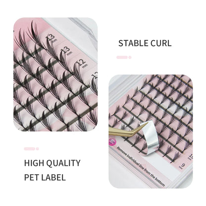 GLAMLASH Comic Spire False Comango Lashes Automatic Flowering Premade Volume Fans Eyelashes Extensions Individual Makeup Tools
