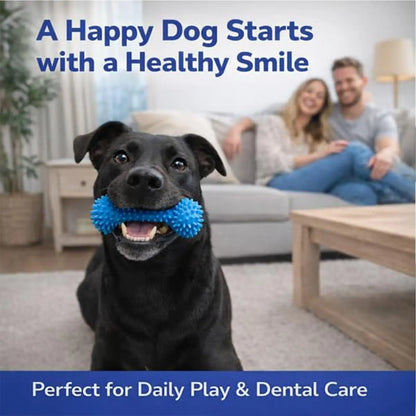 Puppy Chew Toys for Teething Chewer Sticks Mouth Opener Pet Supplies Dog Chewing Toy for Pet Puppy Small Medium Large Breeds