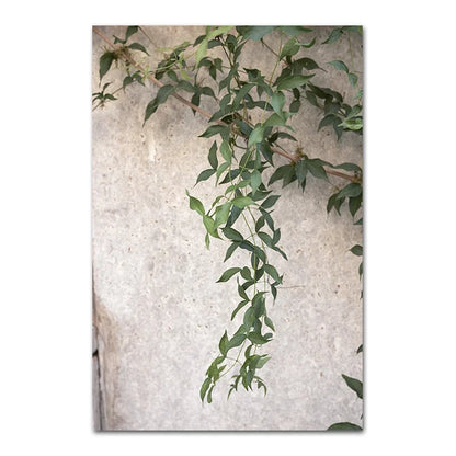 Scandinavian Simple Bohemian Wall Art Spanish Architecture Green Leaves Reeds HD Canvas Painting Poster Print Home Decor Gift