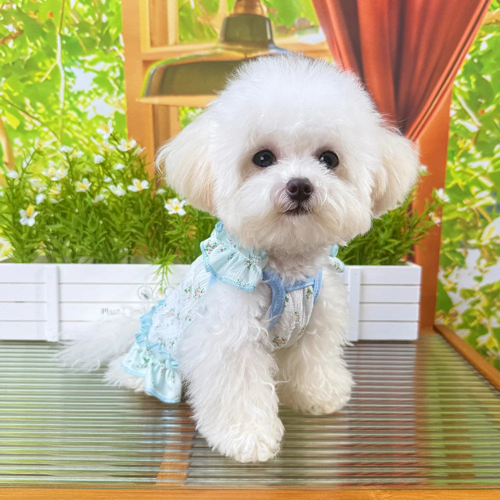 Soft Pet Clothes Thin Small Dog Cool Dress Cute Soft Cat Cooler Clothes Breathable Skin-friendly Summer Puppy Skirt Clothes