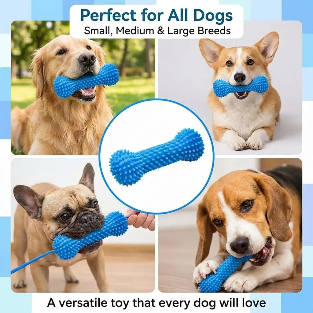 1/2PCS Pets Dog Chew Toys with Rope – Teeth Cleaning & Gum Massage, Durable TPR Dental Stick for Training & Play Pet Dental Care