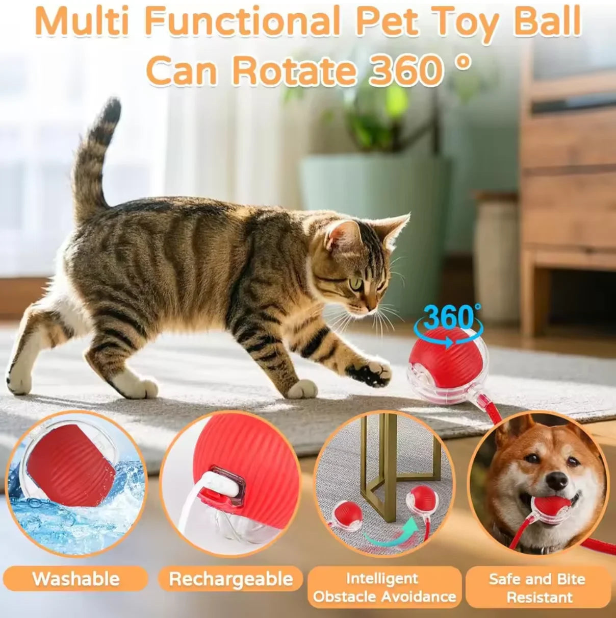 Hot cat toys are automatically teasing cat balls and self-exciting cat sticks and ticks and resistant to wear and bite pet toys