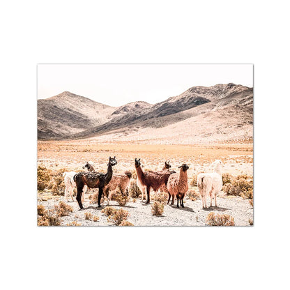 Moroccan Wall Art Canvas Print Marrakesh Architecture Poster Boho Wall Decor Terracotta Art Picture Decoration Painting for Home