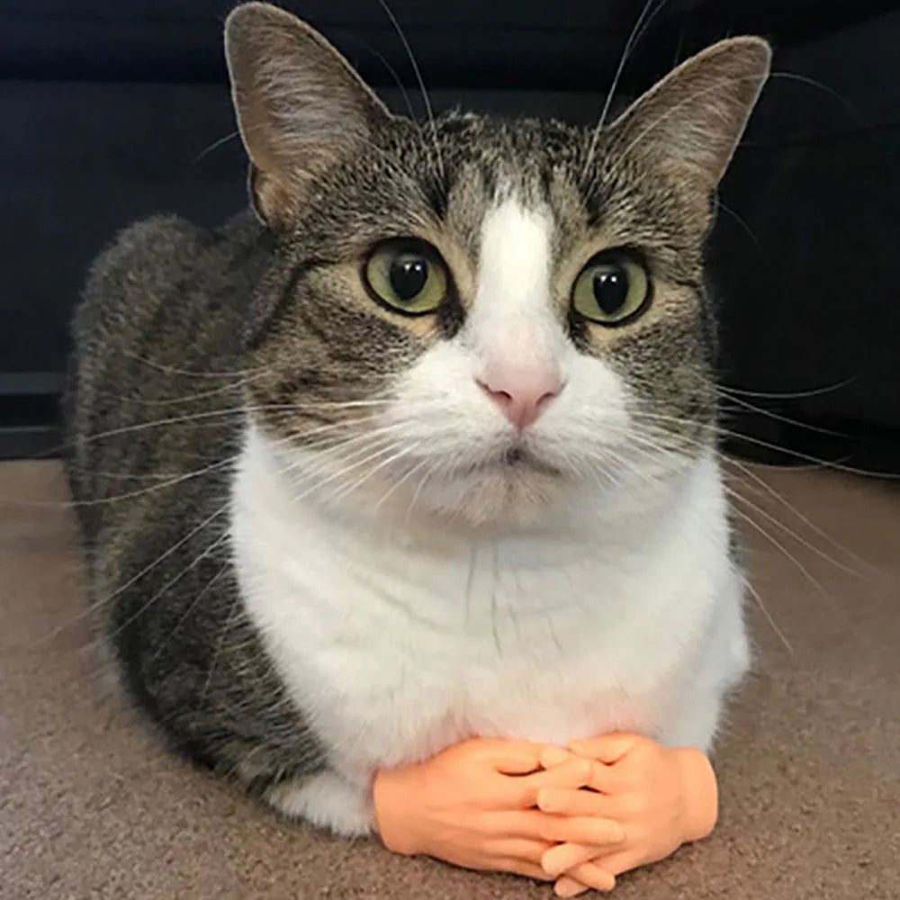 Adult Kid Novelty Toys Funny Mini Hands Creative Finger Fidget Toys Simulation Soft Small Hand Tease the Cat Pet Toy Simulation