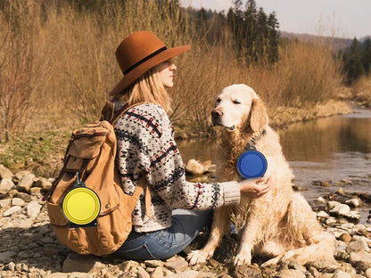 Portable Foldable 2-in-1 Dual Bowl for Dogs & Cats – Travel Food & Water Bowl, Outdoor Pet Must-Have