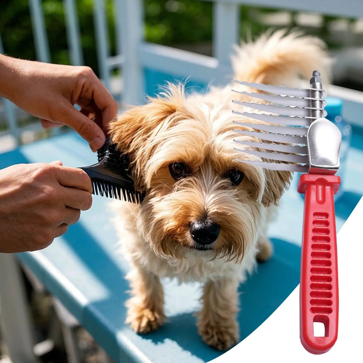 Gentle Detangling Comb for Dogs Grooming Comb Brush Pet Hair Removal Smooth Mat Brush Supplies Cats Dematting Tools for Indoor