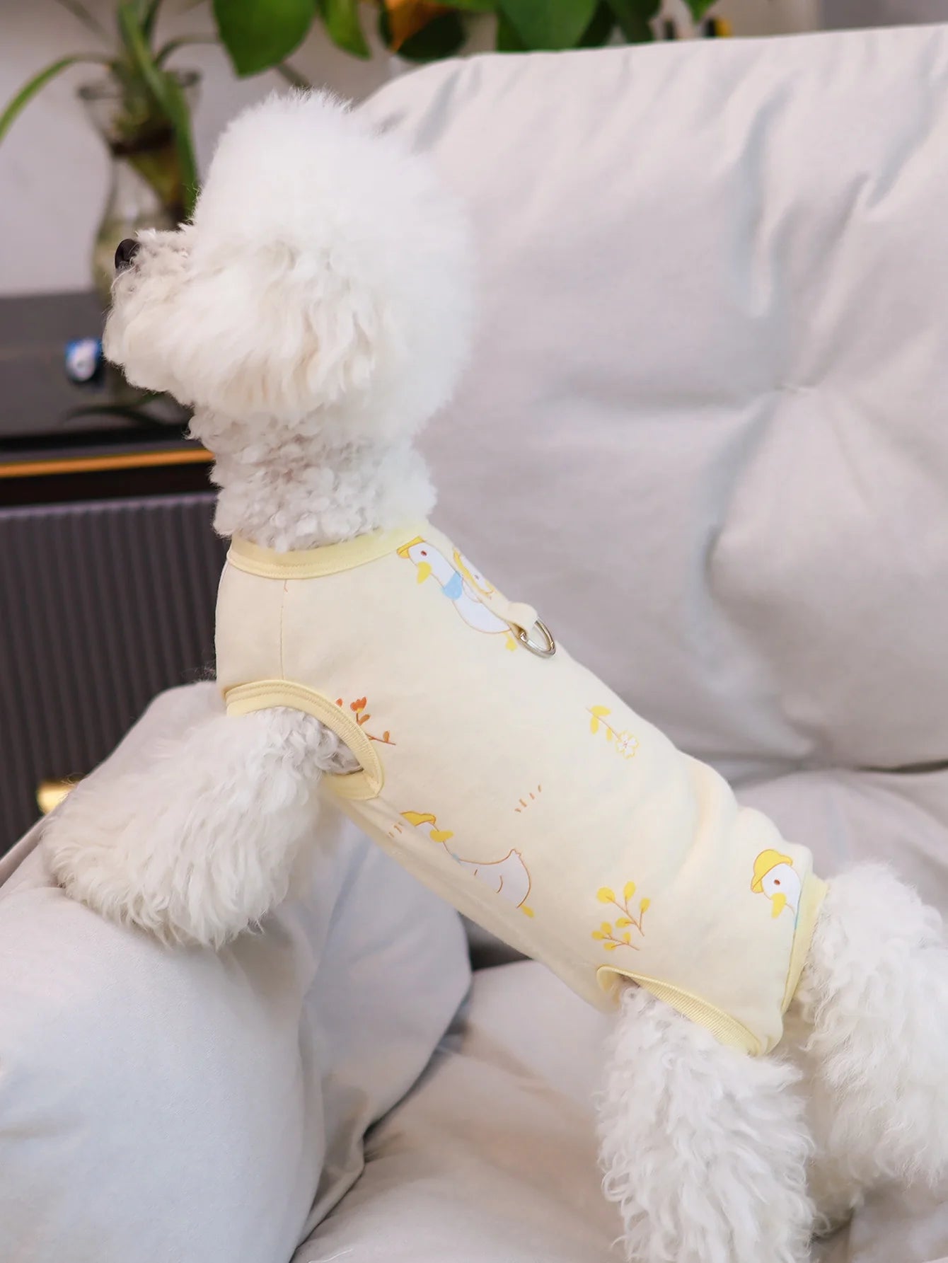 Spring & summer pet clothes four legged pants cat & dog clothes breathable and anti shedding air conditioning home clothes