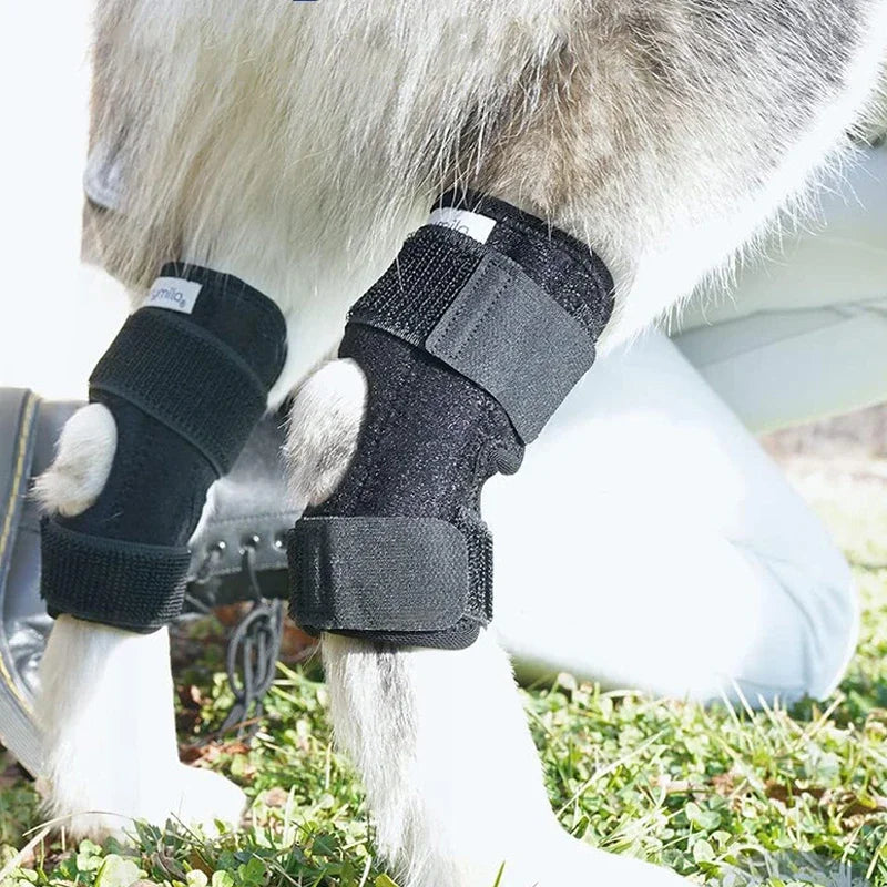 Injury Recover Legs Dog Arthritis Protector Support Protects Bandage Pet Knee Pads Injury Recovery For Dog Leg Hock Joint Wrap