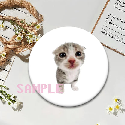 Cute Cats Meme Button Pins Funny Creative Animal Brooches Round Exquisite Tinplate Badge for Backpack Jewelry Accessories Gifts