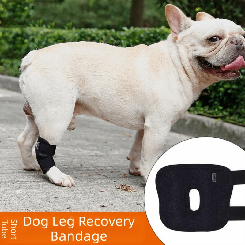 Updated Protects Bandage Dog Protector Cover Dog Leg Support Dogs Hock Joint Brace Pet Knee Pads Dogs Injury Recovery