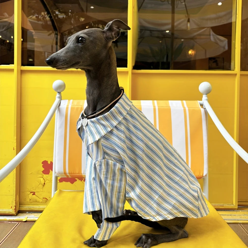 Pet Dog Clothes Striped Shirts for Greyhound Dogs Clothing Small Thin Summer Blue Fashion Boy Girl Large Dog Pet Products