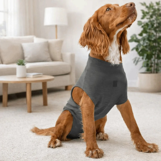Adjustable Pet Physiological Clothing Stretchy Soft Dog Sanitary Jumpsuits Reusable Sweat Absorption Pet Physiological Pants