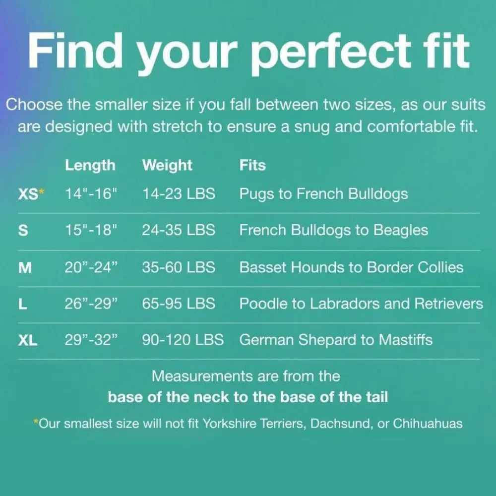 Adjustable Pet Physiological Clothing Stretchy Soft Dog Sanitary Jumpsuits Reusable Sweat Absorption Pet Physiological Pants