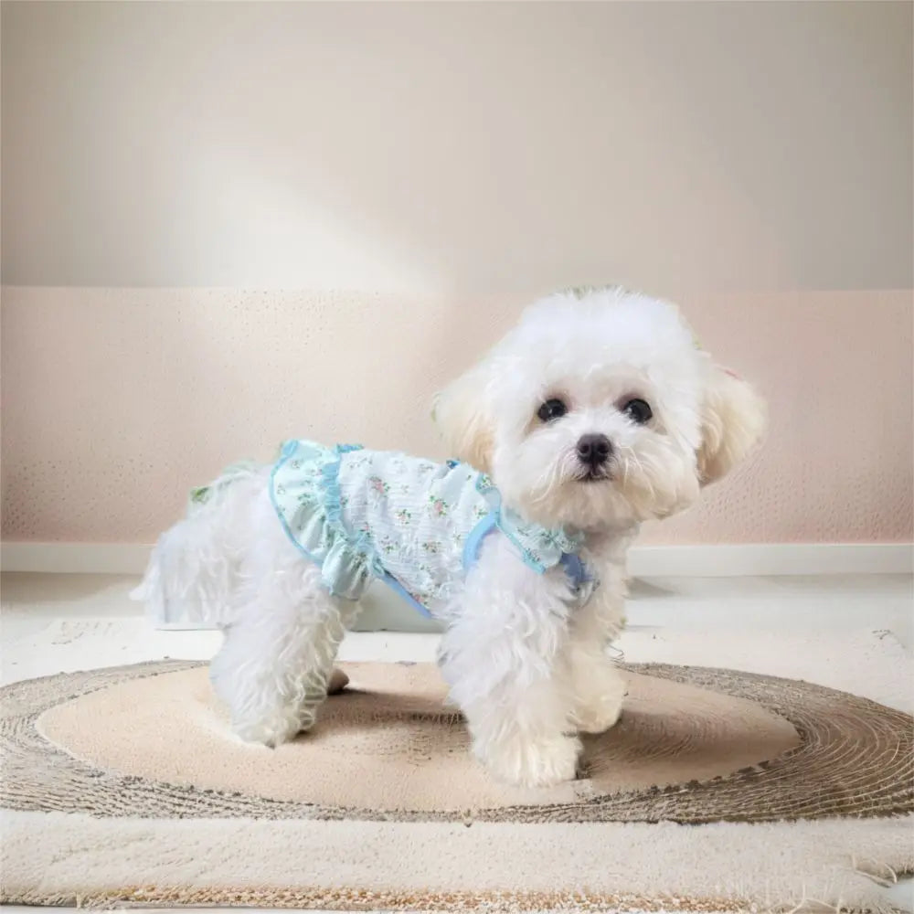 Pet Clothes Thin Dog Cool Dress Cute Breathable Dog Cooler Clothes Soft Skin-friendly Pet Dress for Small Medium Dogs