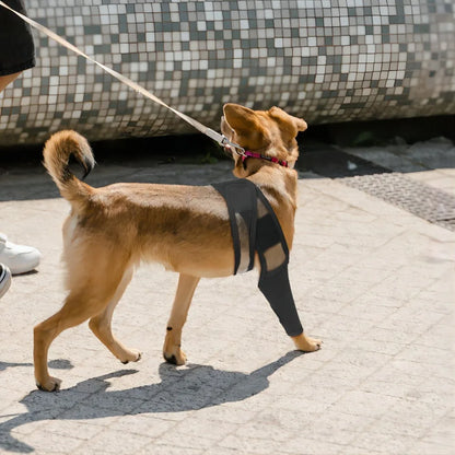 Dog Leg Support Injuried For Post-operative Fixation Pet Knee Pads For Joint Injury Recovery Legs Brace Dog Hip Joint Protect