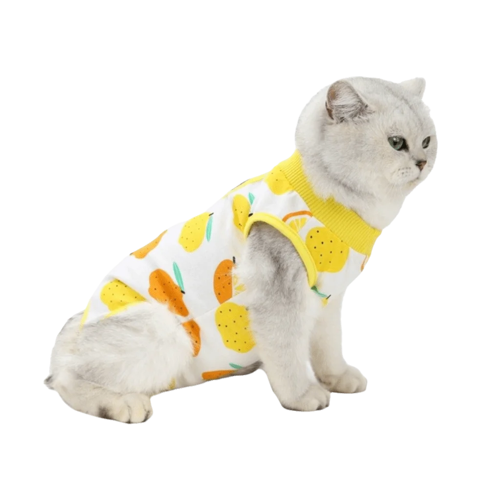 Fruit Printed Cat Recovery Clothing High Elasticity Breathable Pet Anti-Licking Vest Soft Comfortable Pet Weaning Suit Pet Care
