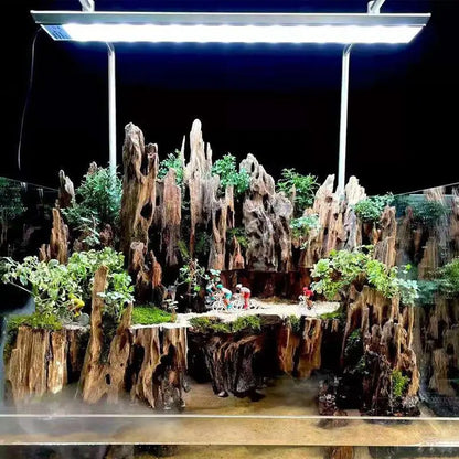 New Wood Aquarium Decor, Driftwood Water Feature Ornamental Accessories For Fish Tanks With Natural Holes Suitable For Shrimp