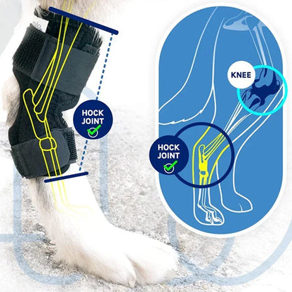1Pair Pet Knee Pads Dog Arthritis Protector Cover Dog Leg Support Brace for Leg Hock Joint Wrap Injury Recover Dogs Supplies