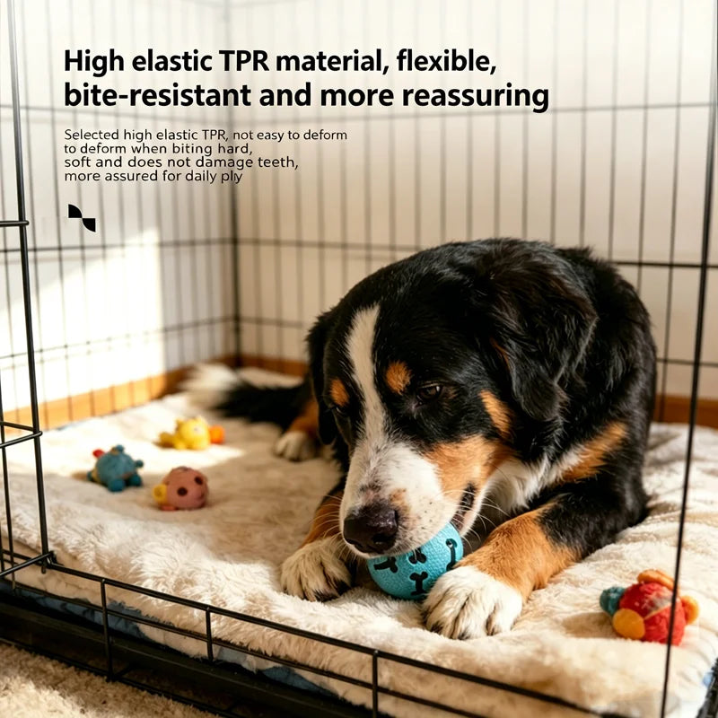 TPR Elastic Toy Ball for Pets Chewable Sound-making Nteractive and Dog Training Dog Interaction To Relieve Boredom Dog Supplies