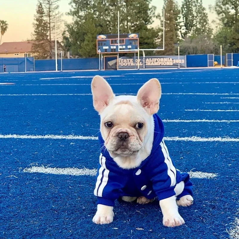 Pet Clothes French Bulldog Puppy Dog Pet Jumpsuit Chihuahua Pug Pets Dogs Clothing for Small Medium Dogs Puppy Outfit  pet coat