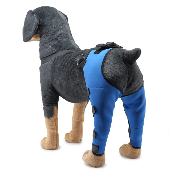 Pet Puppy Knee Pads Dog Back Leg Braces for Injured Dogs Support Brace Injury Joint Wrap Recover Protector Dog Accessories
