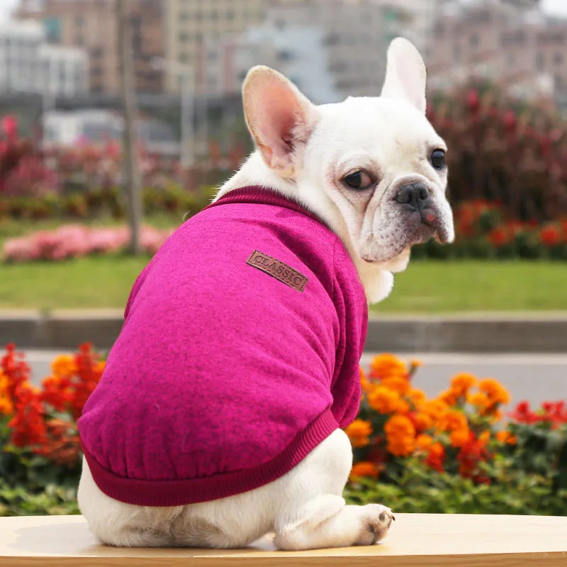 Cute Dog Clothes for Small Dogs Soft Pet Dog Sweater Clothing for Dog Winter Chihuahua Clothes Classic Pet Outfit Accessories